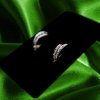 Giori Milano Elegantný naušnice Giora Milano Giori Milano Elegantný naušnice Giora Milano