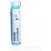Secale Cornutum gra.1 x 4 g 9CH Secale Cornutum gra.1 x 4 g 9CH