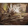 Zuty – Maľovanie Podľa Čísel – Puma A Listy (D. Rusty Rust), 40 × 50 cm, Plátno 8596530164968 Zuty – Maľovanie Podľa Čísel – Puma A Listy (D. Rusty Rust), 40 × 50 cm, Plátno 8596530164968