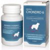 Roboran Chondro 6 - výživa kĺbov pre psy 60tbl Roboran Chondro 6 - výživa kĺbov pre psy 60tbl