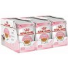 Royal Canin Kitten Instinctive Jelly kapsička pre mačiatka v želé 36 x 85 g Royal Canin Kitten Instinctive Jelly kapsička pre mačiatka v želé 36 x 85 g