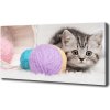 Foto obraz na plátne Mačka s klbkom 100x50 cm Foto obraz na plátne Mačka s klbkom 100x50 cm