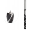 FISCH Twist Vrták do dreva HSS - D9x80 L155 S=13 015109008 FISCH Twist Vrták do dreva HSS - D9x80 L155 S=13 015109008