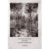 Muž, ktorý sadil stromy (Jean Giono, Ľuboslav Paľo) Muž, ktorý sadil stromy (Jean Giono, Ľuboslav Paľo)
