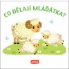 Co dělají mláďátka? Co dělají mláďátka?