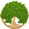 Machový obraz Strom života Simple 30cm Dub Machový obraz Strom života Simple 30cm Dub