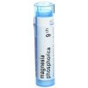 Magnesia Phosphorica gra.1 x 4 g 9CH Magnesia Phosphorica gra.1 x 4 g 9CH