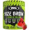 Real Pharm Size Grow 675 g
