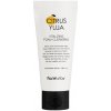 Farmstay Citrus Yuja Vitalizing Foam Cleanser 100 ml Farmstay Citrus Yuja Vitalizing Foam Cleanser 100 ml