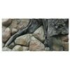 ATG pozadie Amazon 50 x 30 cm 50x30 ATG pozadie Amazon 50 x 30 cm 50x30