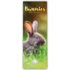 Bunnies Hasen Kaninchen Slimline 2026