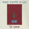 Vinyl Horse Jumper of Love - SO DIVINE (GOLD VINYL) Vinyl Horse Jumper of Love - SO DIVINE (GOLD VINYL)