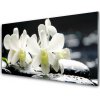 Sklenený obklad Do kuchyne Kamene kvety orchidea 100x50 cm Sklenený obklad Do kuchyne Kamene kvety orchidea 100x50 cm