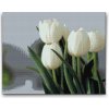 Vymalujsisam.sk Diamantové maľovanie - Biele tulipány Veľkosť: 40x50cm, Rám: Bez rámu, iba zrolované plátno, Diamanty: Okrúhle Vymalujsisam.sk Diamantové maľovanie - Biele tulipány Veľkosť: 40x50cm, Rám: Bez rámu, iba zrolované plátno, Diamanty: Okrúhle