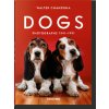 Walter Chandoha. Dogs. Photographs 1941–1991 Walter Chandoha. Dogs. Photographs 1941–1991