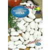Erikova veľkokvetá fazuľa 50 g. suché semená Erikova veľkokvetá fazuľa 50 g. suché semená