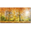 Foto obraz akrylové sklo Jesenný les 100x50 cm Foto obraz akrylové sklo Jesenný les 100x50 cm