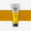 Akrylová farba Winsor & Newton Galeria 120 ml Transp. Yellow Akrylová farba Winsor & Newton Galeria 120 ml Transp. Yellow