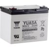 Yuasa YUAREC3612 12 V 36 Ah