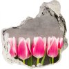 Diera 3D v stene na stenu Ružové tulipány 75x75 cm Diera 3D v stene na stenu Ružové tulipány 75x75 cm