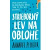 Strieborný lev na oblohe - Annabel Pitcher Strieborný lev na oblohe - Annabel Pitcher