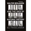 Walter Benjamin and the Idea of Natural History (Eli Friedlander)(Brožovaná) Walter Benjamin and the Idea of Natural History (Eli Friedlander)(Brožovaná)