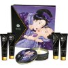 Shunga Geishas Secret Kit Exotic Fruits Shunga Geishas Secret Kit Exotic Fruits