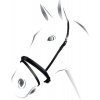 Equestro Nánosník anglický Čierna