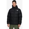 The North Face Men DIABLO DOWN HOODIE