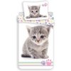 JERRY FABRICS Obliečky Kitten Colour Bavlna 140x200 70x80 JERRY FABRICS Obliečky Kitten Colour Bavlna 140x200 70x80