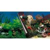 Europet Bernina Photo Decor Stone + Coral 60 x 30 cm Europet Bernina Photo Decor Stone + Coral 60 x 30 cm