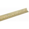 Walteco Klavírový záves 32x600 mm pomosadzený 80090