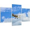 Lietadlo - obraz (Obraz 90x60cm) Lietadlo - obraz (Obraz 90x60cm)
