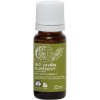 TIERRA VERDE Esenciálny olej Vavrín Kubébový BIO 10 ml TIERRA VERDE Esenciálny olej Vavrín Kubébový BIO 10 ml