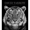 David Yarrow Photography (David Yarrow,Tom Brady)(Pevná) David Yarrow Photography (David Yarrow,Tom Brady)(Pevná)