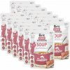 Brit Care Cat Soup with Salmon 15 x 75 g