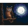 ZUTY Maľovanie podľa čísel SOVA A SVIT MESIACA Rámovanie bez rámu a bez vypnutia plátna Rozmer 80 x 100 cm