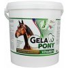 Orling Gelapony VitaMin 5,4 kg Orling Gelapony VitaMin 5,4 kg