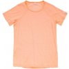 Dámske tričko Devold Endurance Merino 130 Tee Wmn Veľkosť: L / Farba: svetloružová Dámske tričko Devold Endurance Merino 130 Tee Wmn Veľkosť: L / Farba: svetloružová