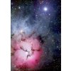 ENJOY Mlhovina Trifid 1000 dielov