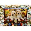 Bluebird Two Travel Puppies 1000 dielov