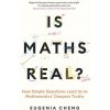 IS MATHS REAL (EUGENIA CHENG)(Brožovaná) IS MATHS REAL (EUGENIA CHENG)(Brožovaná)