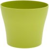 OBAL TULIPÁN MAT JABLKO 15XV12,5CM OBAL TULIPÁN MAT JABLKO 15XV12,5CM