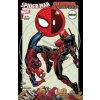 Spider-Man & Deadpool - Zwei vom selben Schlag (Joe Kelly,Ed McGuinness)(Brožovaná) Spider-Man & Deadpool - Zwei vom selben Schlag (Joe Kelly,Ed McGuinness)(Brožovaná)