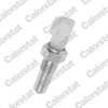Spínač cúvacích svetiel CALORSTAT by Vernet RS5561 RS5561