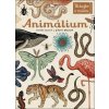 Animálium - Jenny Broom, Katie Scott Animálium - Jenny Broom, Katie Scott