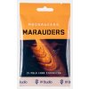 IV Studio Moonrakers: Marauders Holographic IV Studio Moonrakers: Marauders Holographic