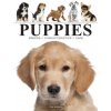 Puppies (Jackson,Tom)(Brožovaná) Puppies (Jackson,Tom)(Brožovaná)