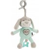 BABY MIX Edukačná hrajúca plyšová hračka s klipom Baby Mix pes mätový BABY MIX Edukačná hrajúca plyšová hračka s klipom Baby Mix pes mätový