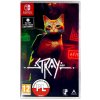 Stray Stray